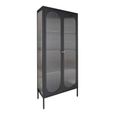 Adelaide Cabinet - 2 Door - Tall - Black Metal