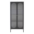 Adelaide Cabinet - 2 Door - Tall - Black Metal