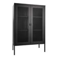 Melbourne Cabinet - 2 Door - Black Metal