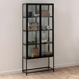 Seaford Display Cabinet - 2 Door - Black Metal