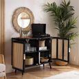 Noah Small Sideboard - 100cm - 2 Door - Black and Rattan