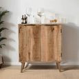 Surrey Drinks Cabinet - 2 Door - Solid Mango Wood