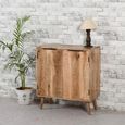Surrey Drinks Cabinet - 2 Door - Solid Mango Wood