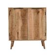 Surrey Drinks Cabinet - 2 Door - Solid Mango Wood