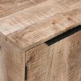 Surrey Drinks Cabinet - 2 Door - Solid Mango Wood