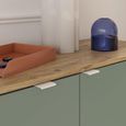 Ganymede Sideboard - 2 Door - 3 Drawer - Extra Large - Light Oak and Sage