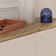 Ganymede Sideboard - 2 Door - 3 Drawer - Extra Large - Light Oak and Sand