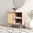 Clearance - Ferrero Natural and Woven Rattan 1 Door Cabinet