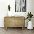 Scandic Cabinet - 2 Door - Small - Oak