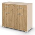 Rauch Aditio 2 Door Small Sideboard - 80cm - Champagne and Artisan Oak