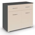 Rauch Aditio 2 Door Small Sideboard - 80cm - Metallic Dark Grey and Champagne