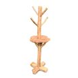 Teak Root - Bird Feeding Station