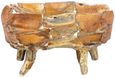 Teak Root Branch Bench - Extra Large - with Back
