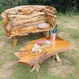 Teak Root Branch Bench - Large - with Back