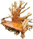 Teak Root Bench - King - with Back