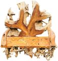 Teak Root Bench - King - with Back