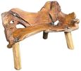 Teak Root Bench - Medium - with Back