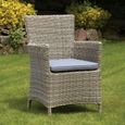 Wentworth Garden Dining Chairs - Set of 2 - Carver - Beige - Rattan