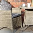 Wentworth Garden Dining Chairs - Set of 2 - Carver - Beige - Rattan