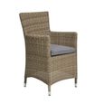 Wentworth Garden Dining Chairs - Set of 2 - Carver - Beige - Rattan