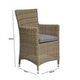 Wentworth Garden Dining Chairs - Set of 2 - Carver - Beige - Rattan