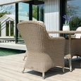 Hazelmere Dining Armchair - Garden - Natural Weave