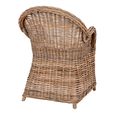 Larisa Garden Dining Armchair - Set of 2 - Rattan