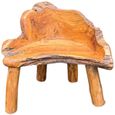 Teak Root Chair - Small