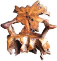 Teak Root Armchair - Spider