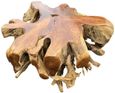 Teak Root Spider Coffee Table - Large
