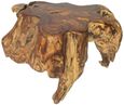 Teak Root Spider Coffee Table - Small