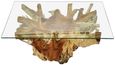 Lombok Teak Root & Glass Coffee Table