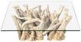 Driftwood Root & Glass Coffee Table - Small