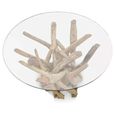 Clearance - Driftwood Coffee Table - Round - Root & Glass - FSS16485