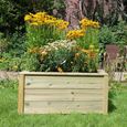 Garden Trough Planter - Timber Wood