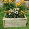 Garden Trough Planter - Timber Wood
