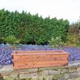 Garden Trough - Large - Redwood