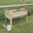 Garden Veg Trug Planter - Raised - Timber Wood