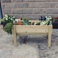 Garden Veg Trug Planter - Raised - Timber Wood