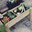 Garden Veg Trug Planter - Raised - Timber Wood