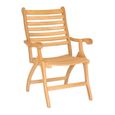 Roble Wood Folding Garden Dining Armchair - Set of 2