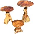 Teak Root Giant Wild Toadstools - Set of 3