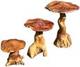 Teak Root Giant Wild Toadstools - Set of 3
