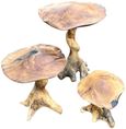 Teak Root Giant Wild Toadstools - Set of 3