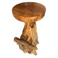 Teak Root Barstool - Round
