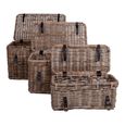 Depok Storage Trunk - Set of 3 - Kubu Rattan