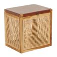Kendari Storage Box - Brown Leather with Rattan and Teak Wood