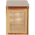 Kendari Storage Box - Brown Leather with Rattan and Teak Wood