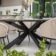 Bali Dining Set - 8 Seater - 200cm - Oval - Ceramic Top - 8 Rope Chairs