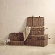 Argento Storage Basket - Set of 3 - Brown Rattan